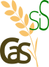 logo de CaSSiS